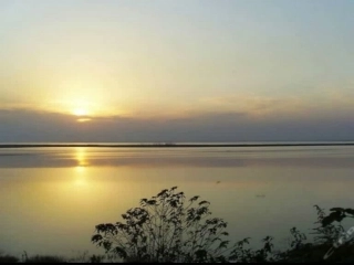 材料题解题方法