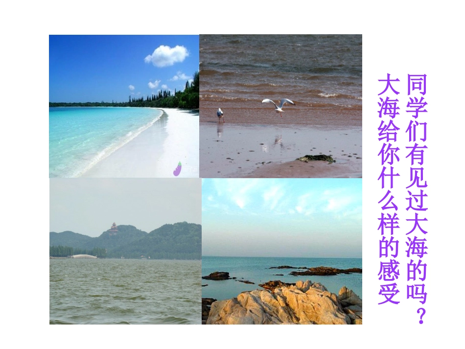 我爱大海课件_第2页