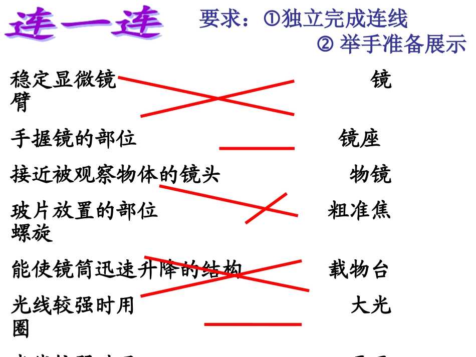 生物体的结构层次复习_第3页