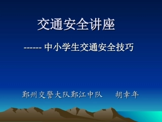 交通安全宣传 (2)