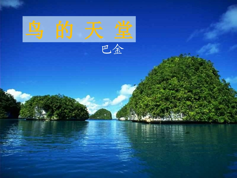 3《鸟的天堂》教学课件_第1页