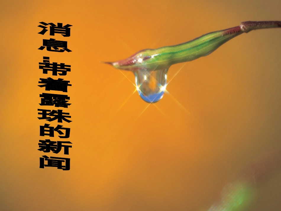 消息：带着露珠的新闻_第1页