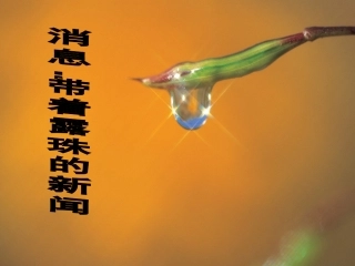 消息：带着露珠的新闻