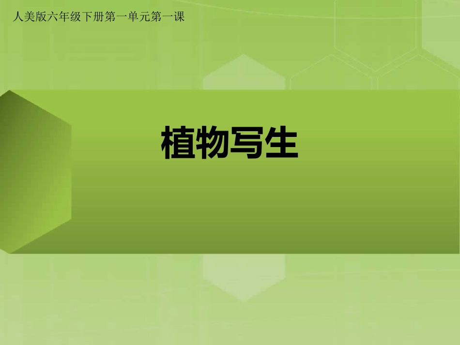 漠西学区课件_第1页