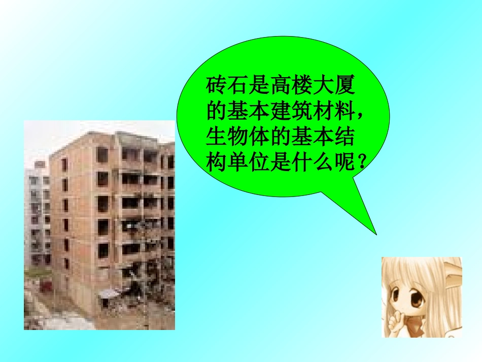 3、7、1生物体的基本结构_第2页