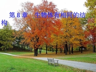 3、7、1生物体的基本结构