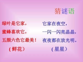 鲜花和星星(颜迅）