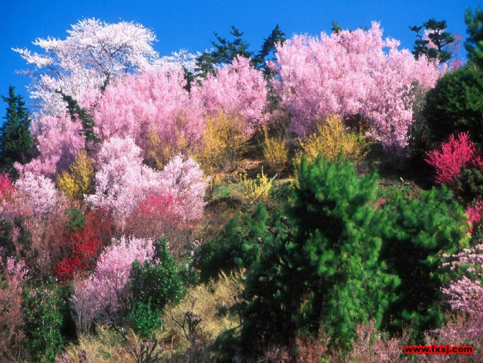 小熊住山洞 (2)_第3页