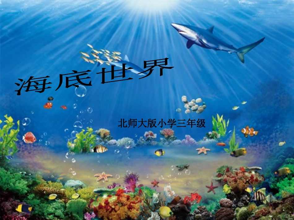 海底世界MicrosoftPowerPoint演示文稿_第1页