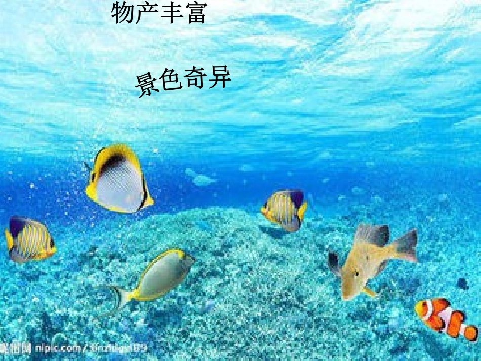 海底世界MicrosoftPowerPoint演示文稿_第2页
