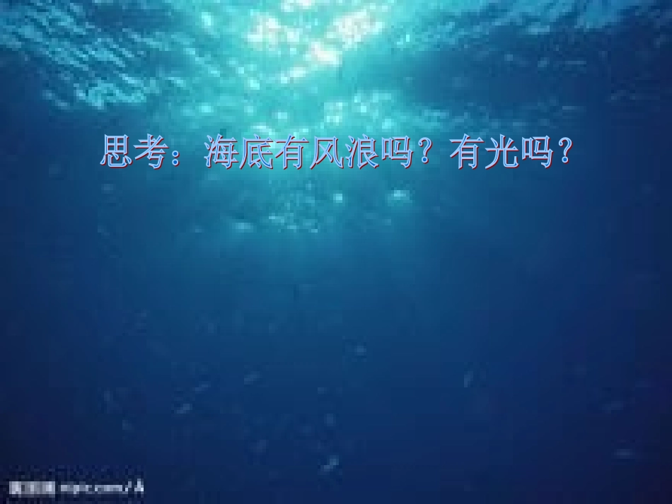 海底世界MicrosoftPowerPoint演示文稿_第3页