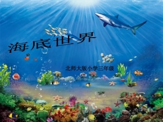 海底世界MicrosoftPowerPoint演示文稿