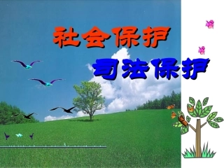 社会保护和司法保护