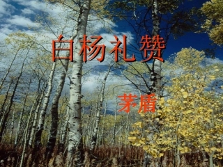 《白杨礼赞》课件1