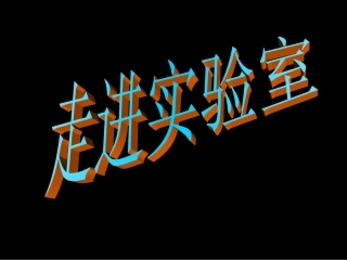 初三备考化学精品复习课件：走进化学实验室
