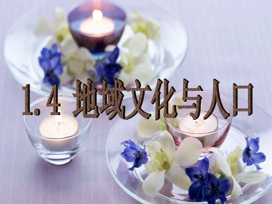 湘教版必修2二14地域文化和人口_第2页