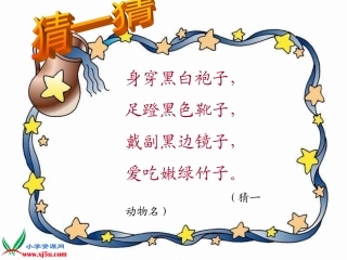 西师大版三年级语文上册《可爱的大熊猫》PPT教学演示课件