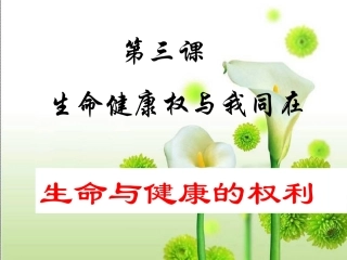 生命健康的权利