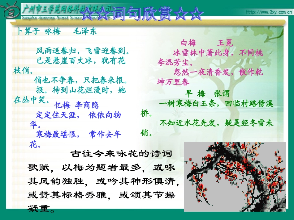 课件《梅花魂》_第2页