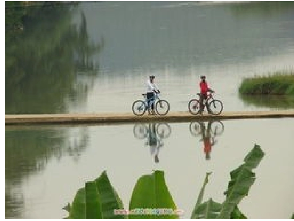 23平面镜成像 (2)_第3页