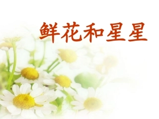 鲜花和星星11