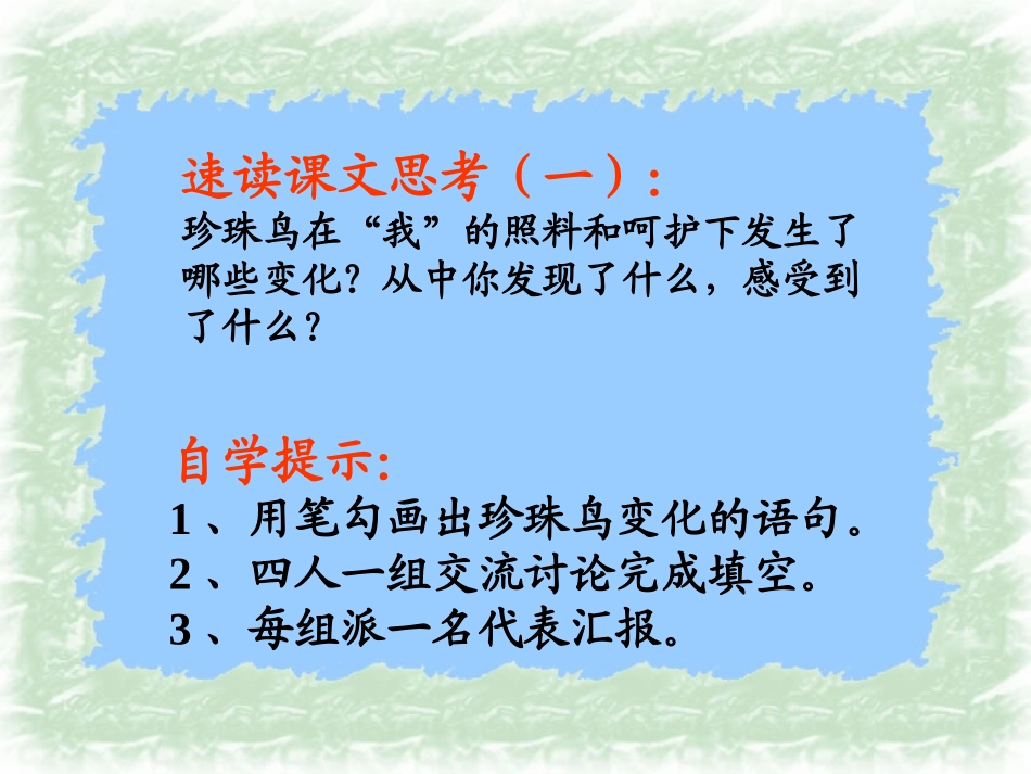珍珠鸟 (5)_第2页