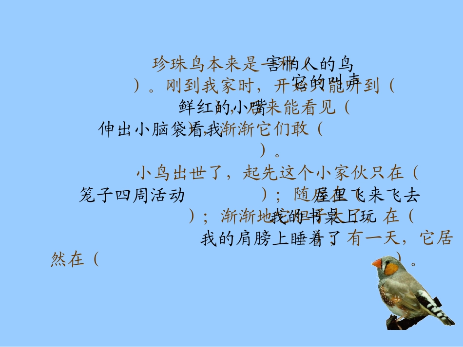 珍珠鸟 (5)_第3页