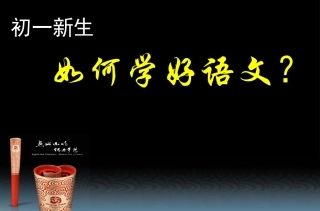 怎样学好语文