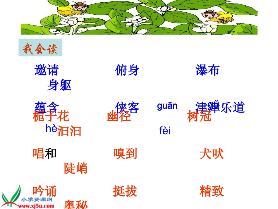 新课标人教版六年级语文上册《山中访友》教学演示课件_第3页