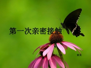 第一次亲密接触