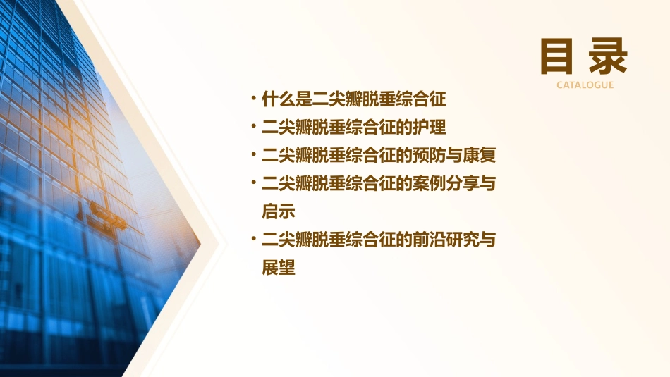 二尖瓣脱垂综合征护理课件_第2页