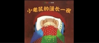 小老鼠的漫长一夜