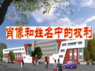 肖像和姓名中的权利 (3)