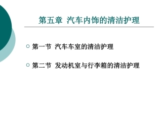 第五章汽车内饰的清洁护理