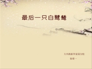 修改最后一只白鹭鸶