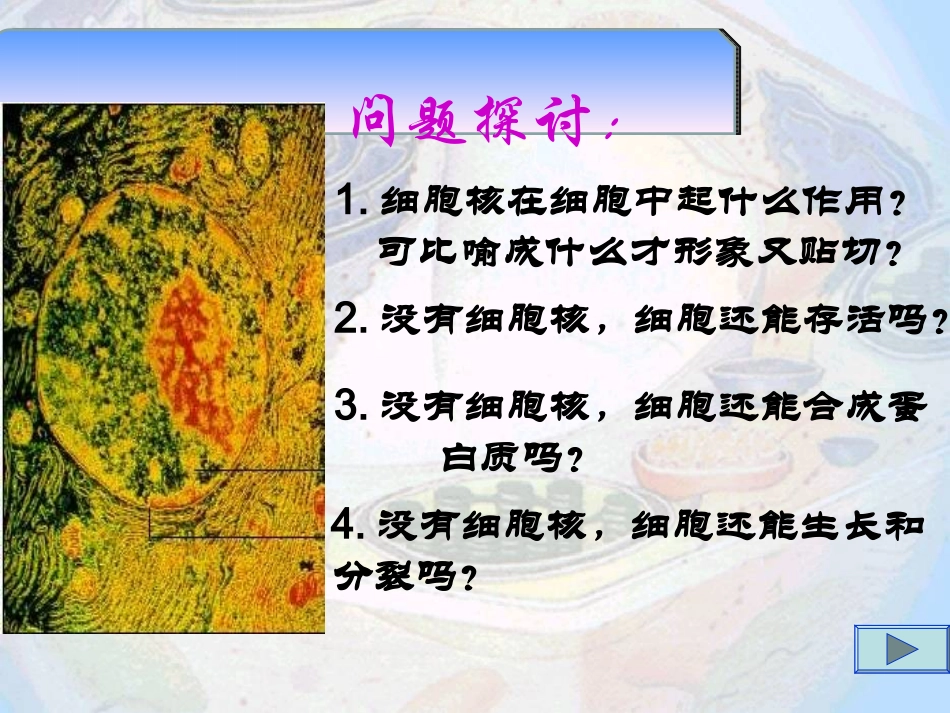 第3章第3节《细胞核系统的控制中心》_第3页