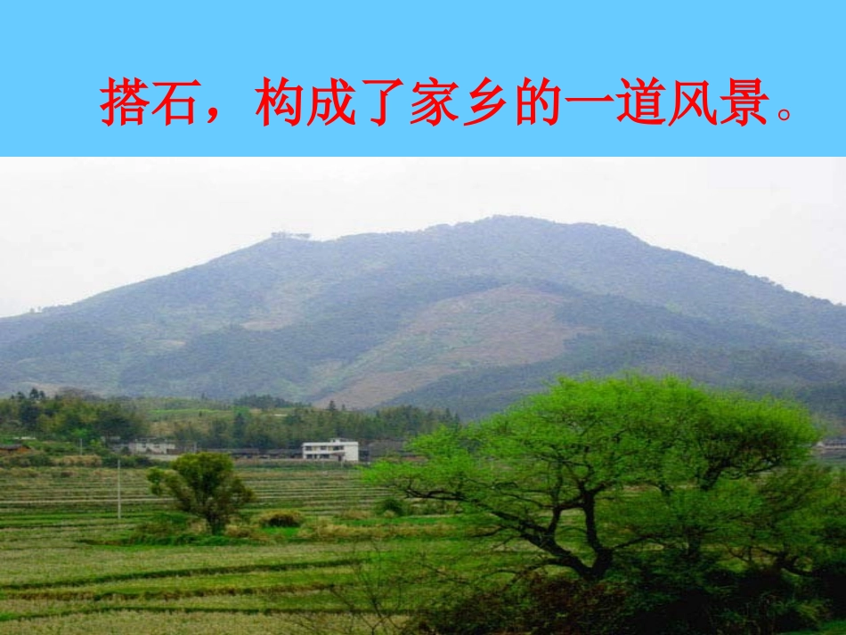 21《搭石》课件2_第2页