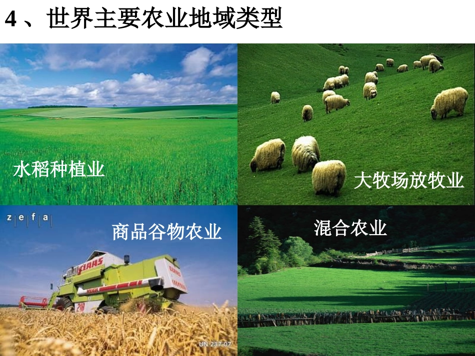 农业地域类型 (2)_第2页