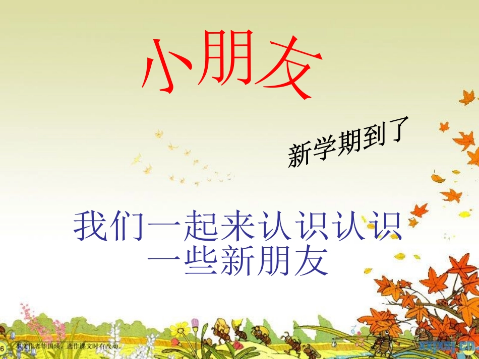 我们的民族小学教学课件_第1页