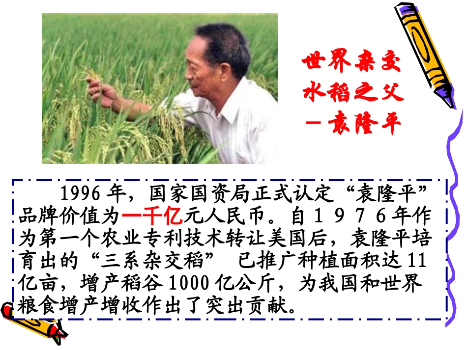 73无形的财产_第1页