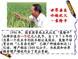 73无形的财产