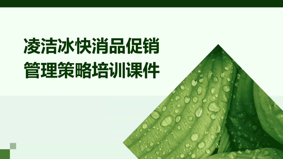 凌洁冰快消品促销管理策略培训课件_第1页