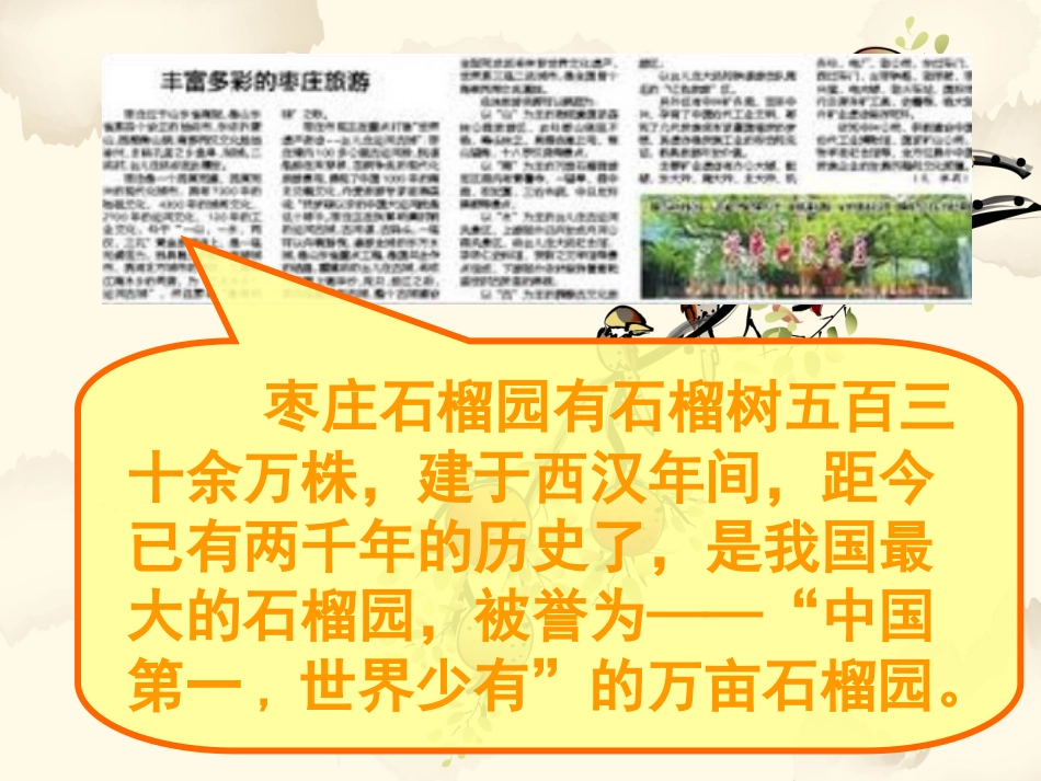 新石榴第一课时1(1)_第3页