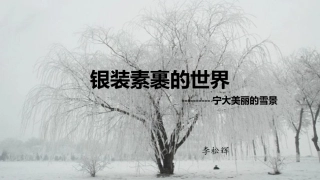宁大美丽的雪景