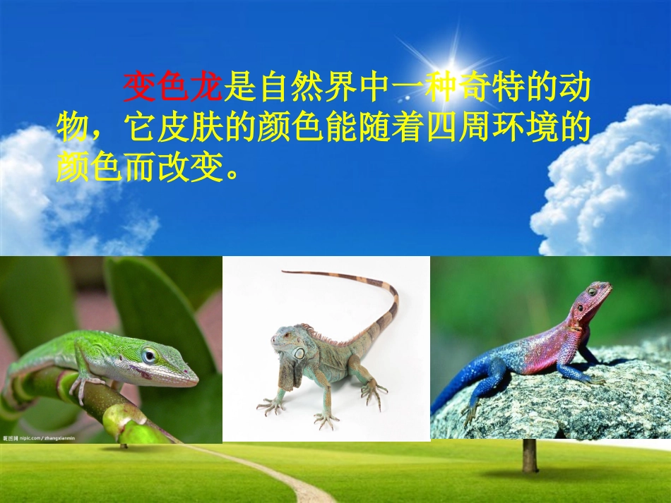 变色龙课件 (2)_第2页