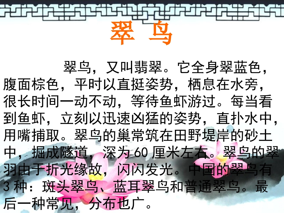 翠鸟 (3)_第2页
