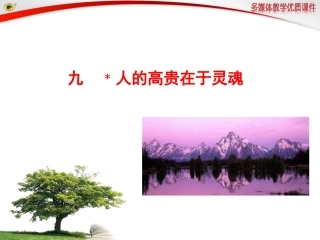 九﹡人的高贵在于灵魂