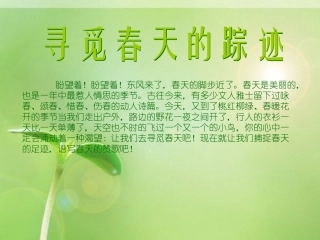 寻觅春天的踪迹