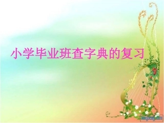 《查字典》复习课PPT