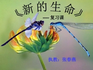 张春艳科学课件